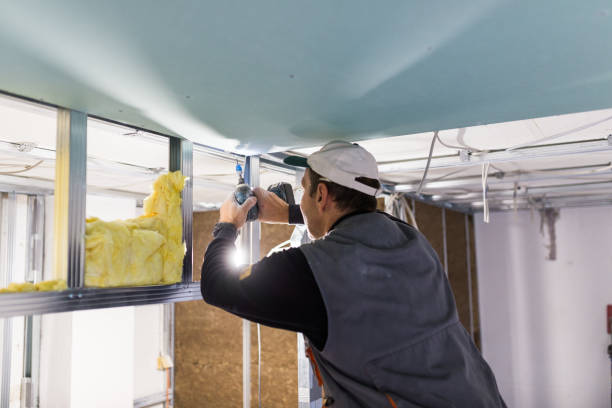 Best Insulation Maintenance and Repair in Huntertown, IN